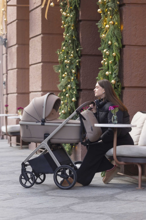 Коляска 2в1 Carrello Vector Rock Beige 6550