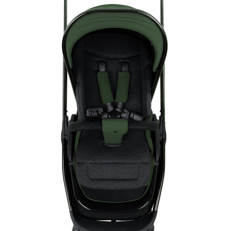 Коляска 2в1 Pituso Mayla Luxury Forest Green