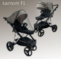 Коляска 2в1 Luxmom F1 Серый