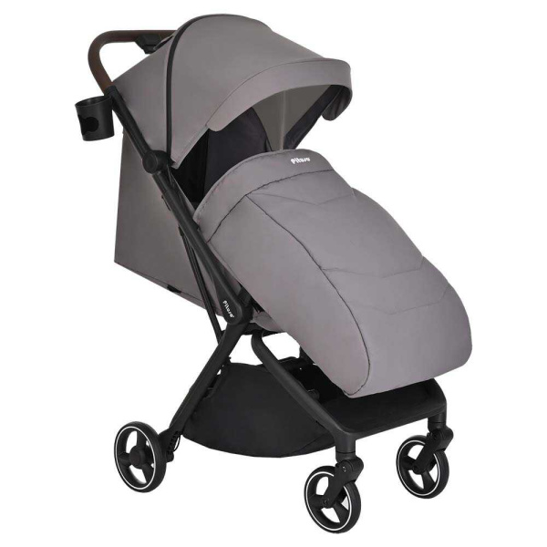 Коляска прогулочная Pituso Matrix Graphite