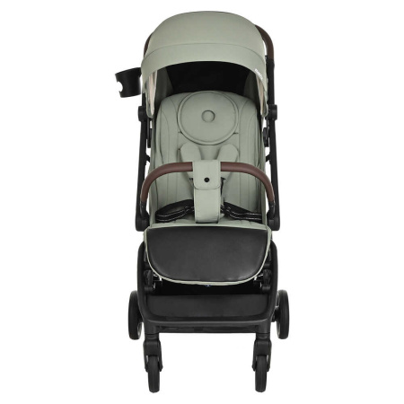 Коляска прогулочная Pituso Matrix Emerald mood