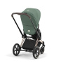 Коляска 2в1 Cybex Priam IV Rosegold цвет Leaf Green
