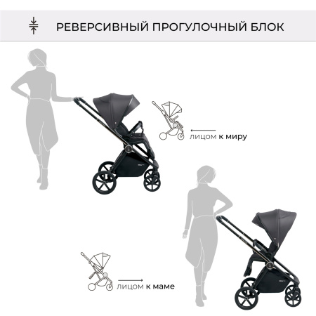 Коляска 2в1 SBL Elegante Chrome Black