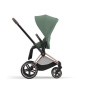 Коляска 2в1 Cybex Priam IV Rosegold цвет Leaf Green