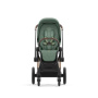 Коляска 2в1 Cybex Priam IV Rosegold цвет Leaf Green