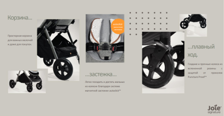 Коляска прогулочная Joie Aeria Oyster