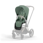 Коляска 2в1 Cybex Priam IV Rosegold цвет Leaf Green