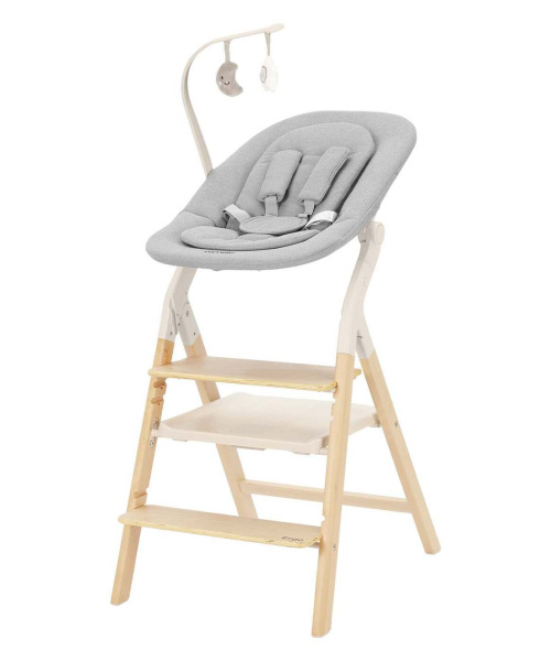 Стул для кормления Carrello Ergo 4в1 16701 Carbon Grey