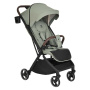 Коляска прогулочная Pituso Matrix Emerald mood