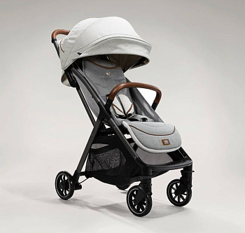 Коляска прогулочная Joie Parcel Oyster