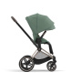 Коляска 2в1 Cybex Priam IV Rosegold цвет Leaf Green