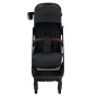 Коляска прогулочная Pituso Mini Black