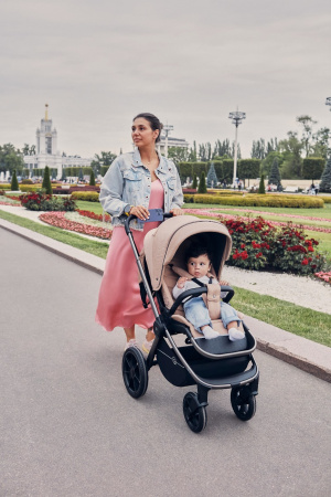 Коляска 2в1 Rant Flex Pro Beige